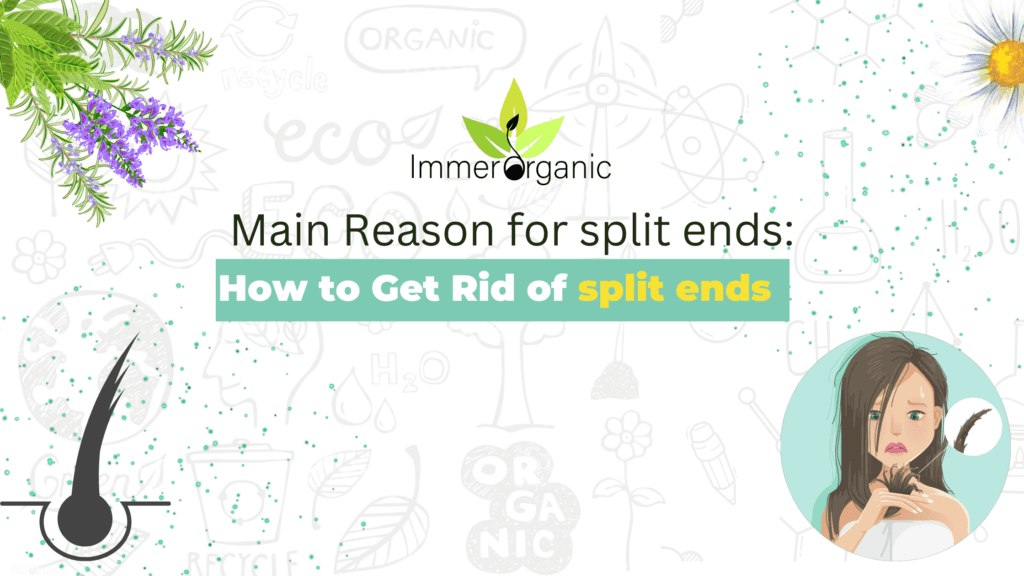 Main Reason for split ends How to Get Rid of split ends