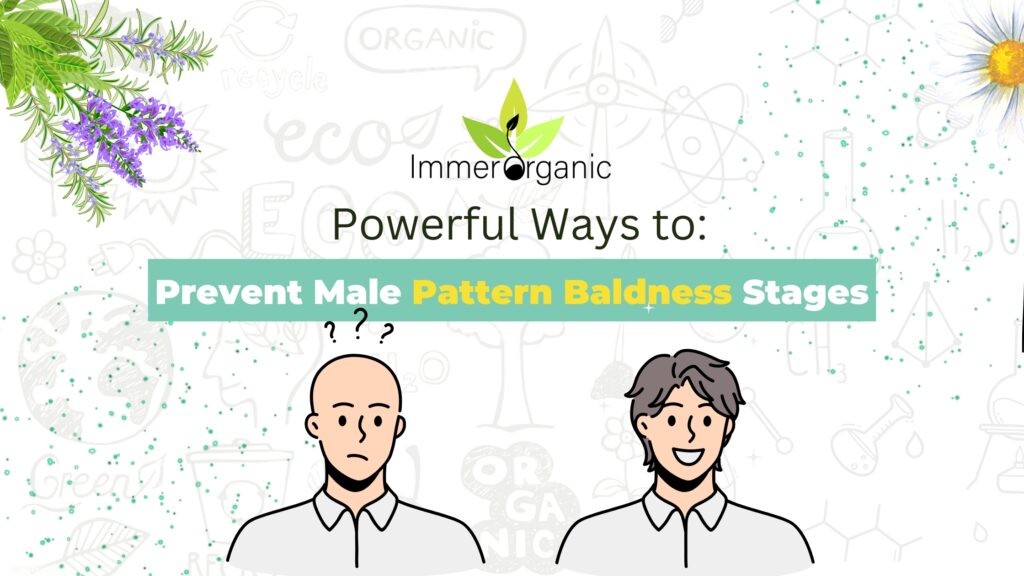 Powerful Ways to Prevent Male Pattern Baldness Stages [2023] -Immerorganic
