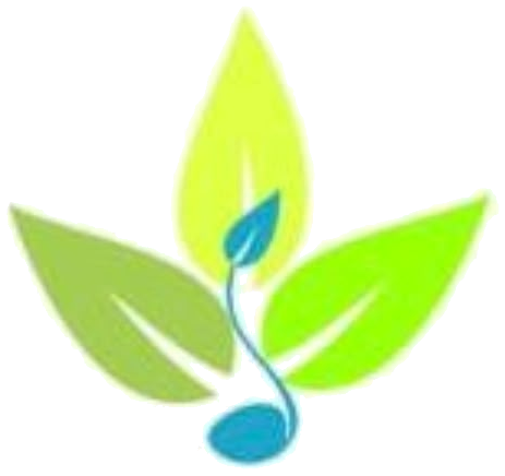 Immer Natural logo